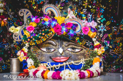 Daily Darshan