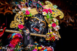 Daily Darshan