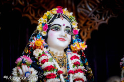 Daily Darshan
