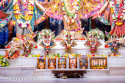 Daily Darshan