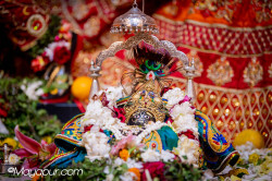 Daily Darshan
