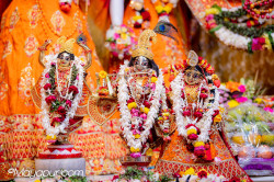 Daily Darshan