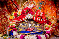 Daily Darshan