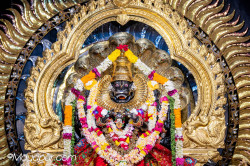 Daily Darshan
