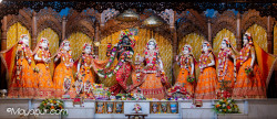 Daily Darshan
