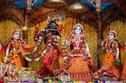 Daily Darshan