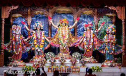 Daily Darshan