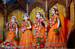 Daily Darshan
