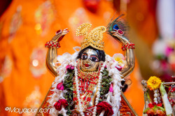 Daily Darshan