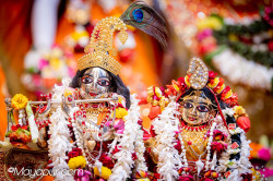Daily Darshan
