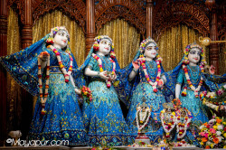 Daily Darshan
