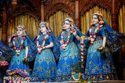 Daily Darshan