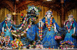 Daily Darshan