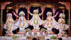 Daily Darshan