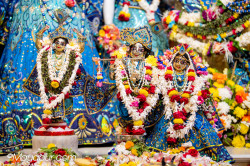 Daily Darshan