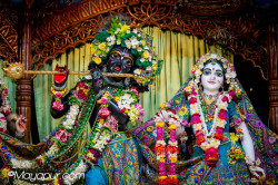 Daily Darshan