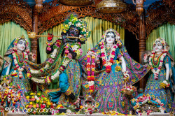 Daily Darshan