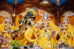 Daily Darshan