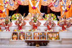 Daily Darshan