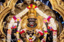 Daily Darshan