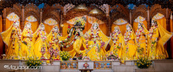 Daily Darshan