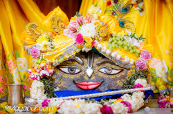Daily Darshan