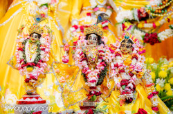 Daily Darshan