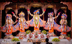 Daily Darshan