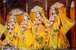 Daily Darshan