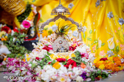 Daily Darshan