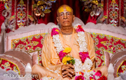 Daily Darshan