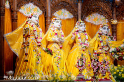 Daily Darshan