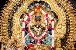 Daily Darshan
