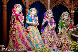 Daily Darshan