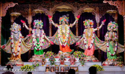 Daily Darshan