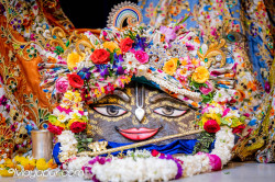 Daily Darshan