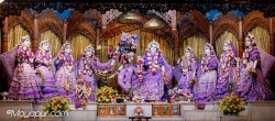 Daily Darshan