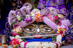 Daily Darshan