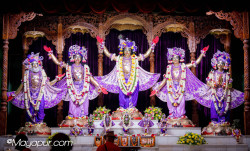 Daily Darshan
