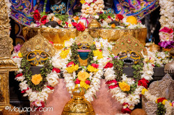 Daily Darshan