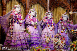 Daily Darshan