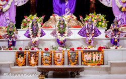 Daily Darshan