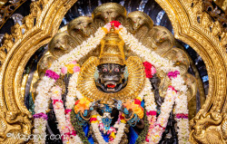 Daily Darshan