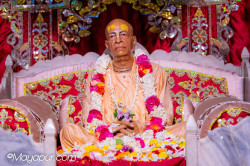 Daily Darshan