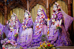 Daily Darshan