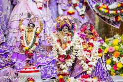 Daily Darshan