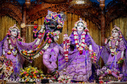 Daily Darshan
