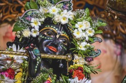 Daily Darshan