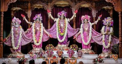 Daily Darshan