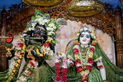 Daily Darshan